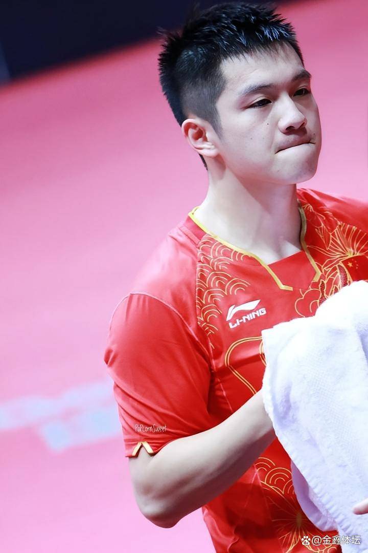 包含波兰队轻取奥地利队，樊振东统治全场的词条