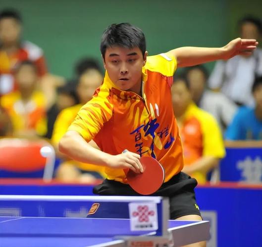 瑞典队横扫法国队，王皓扛起全队