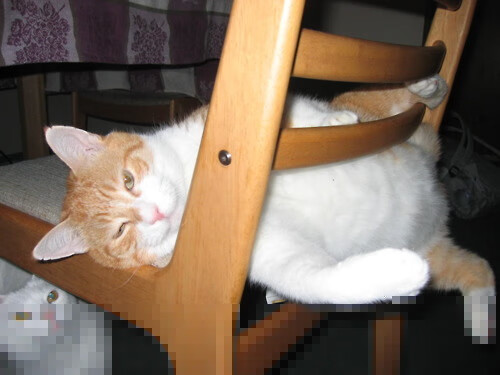 詹姆斯再显王霸之气!湖人碾压国王;塔图姆欧冠赛场接管比赛,新一代巨星崛起!